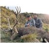 Image 2 : New Zealand Hunting Adventures  Fair Chase Red Stag Hunt -  for 1 Hunters 5 Days