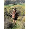 Image 3 : New Zealand Hunting Adventures  Fair Chase Red Stag Hunt -  for 1 Hunters 5 Days