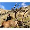 Image 4 : New Zealand Hunting Adventures  Fair Chase Red Stag Hunt -  for 1 Hunters 5 Days