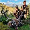 Image 5 : New Zealand Hunting Adventures  Fair Chase Red Stag Hunt -  for 1 Hunters 5 Days