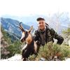 Image 3 : SPAIN - 2 DAY 3 NIGHT HUNT FOR PYRENEAN CHAMOIS FOR 1 HUNTER