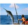 Image 1 : BAJA CALIFORNIA - LOS CABOS SPORT FISHING FOR TWO