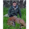 Image 3 : SCOTLAND – 7 DAY RIFLE HUNT PACKAGE FOR 2 ROE BUCKS FOR 1 HUNTER