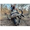 Image 2 : SOUTH AFRICA - 3 DAY TROPHY COW CAPE BUFFALO GUN HUNT FOR 1 HUNTER