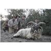 Image 3 : ARGENTINA - 7-DAY ARGENTINA BIG GAME HUNT FOR TWO HUNTERS