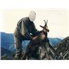 Image 3 : CROATIA – BIG GAME HUNT WITH RIFLE FOR 2 HUNTERS