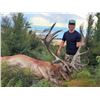 Image 2 : NEW ZEALAND - 3 DAY HUNT FOR BRONZE MEDAL RED STAG FOR ONE HUNTER