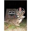 Image 3 : KENTUCKY - FIVE DAY BOW WHITETAIL BUCK HUNT FOR 1 HUNTER