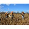 Image 5 : 1 Night B&B Stay, 1 Round Each of 100 Sporting Clays and Guided Upland Bird Hunt for 2 People