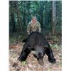 Image 2 : 5-Day New Brunswick Spring Bear Hunt for 1 Hunter