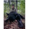 Image 4 : 5-Day New Brunswick Spring Bear Hunt for 1 Hunter