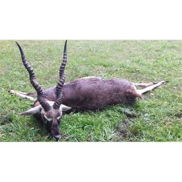 CATENA SAFARIS – BIG GAME