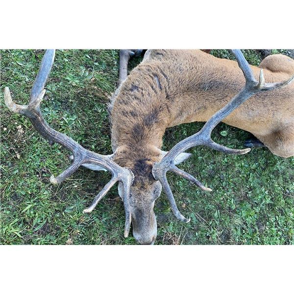 TROPHY HUNTING SPAIN