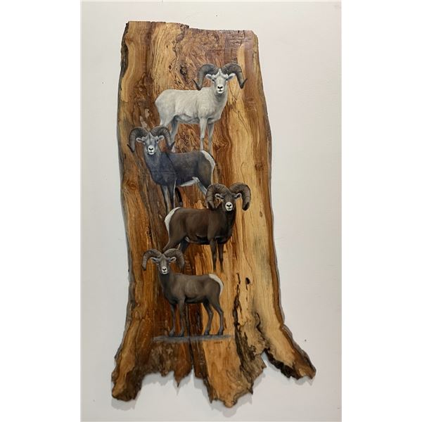 Dan Christ   Sheep Slam on Applewood