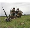 Image 4 : 5- Full day Argentina Big Game hunt for 1 hunter and 1 non hunter including 1 red stag