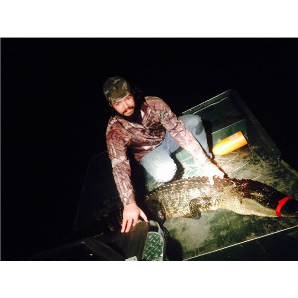 8’ Alligator Hunt in Florida