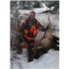 Image 3 : DIY Elk, Mule Deer & Black Bear hunt in Colorado