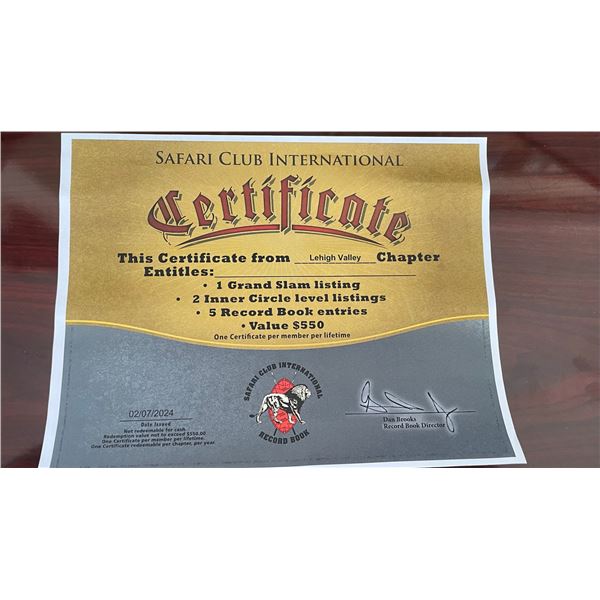 SCI Record Book Certificate