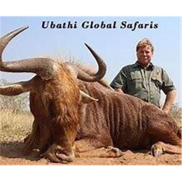 UBATHI'S GLOBAL SAFARIS: South Africa