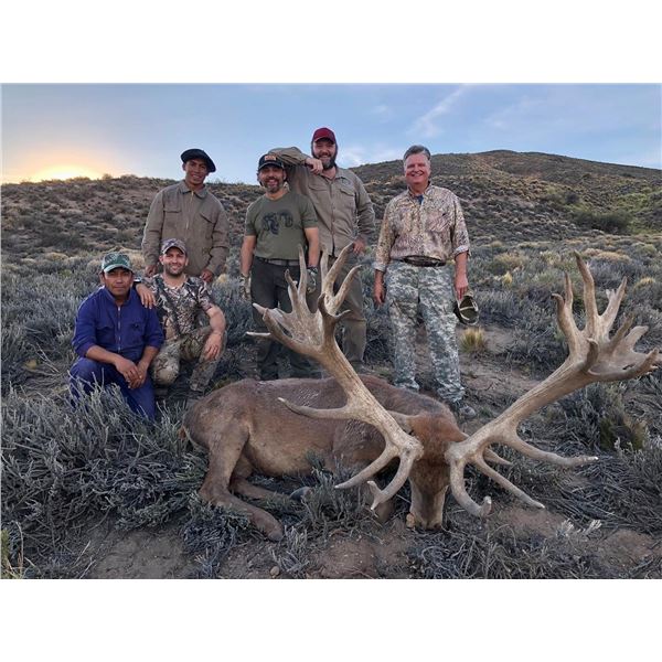 Argentina Red Stag Hunt 5D, 1H