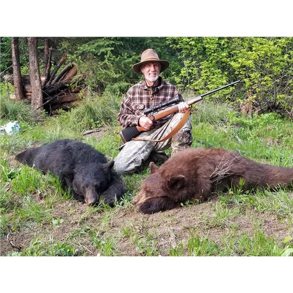 Idaho Black Bear Hunt 6D, 1H