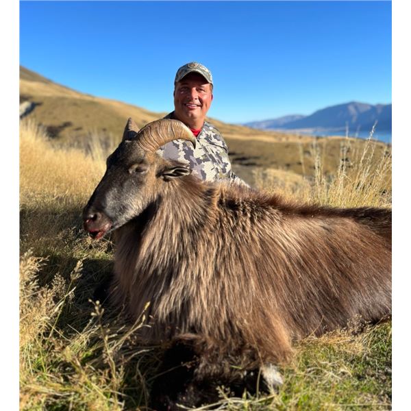 New Zealand Bull Tahr Hunt 5D, 1H