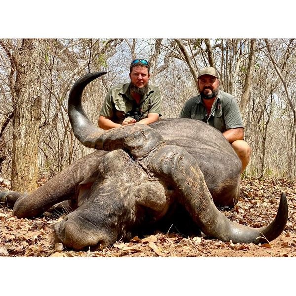 Tanzania Cape Buffalo Hunt 9D, 1H