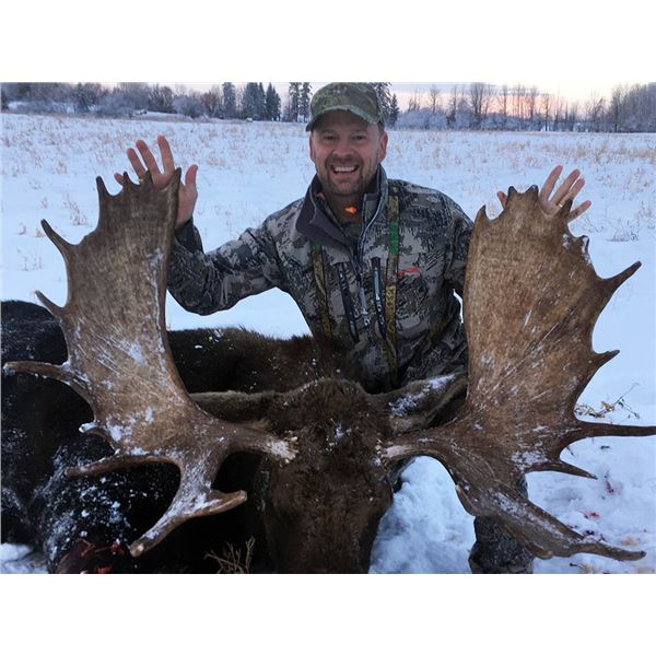 Alberta Bull Moose Hunt 6D, 1H