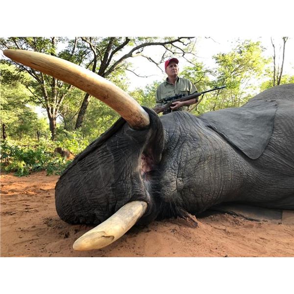 Zimbabwe Bull Elephant Hunt 10D, 1H