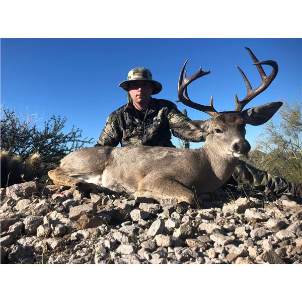 Sonora Mexico Coues Deer 5D, 4H