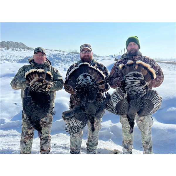 Utah Turkey Hunt 2D, 4H