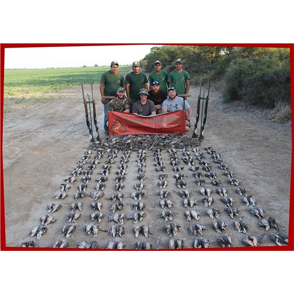 Argentina Dove Shoot 4D, 4H