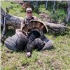 Image 1 : Utah or Colorado Turkey Hunt 3D, 2H