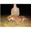 Image 2 : Zimbabwe Hyena, Nyala, and Waterbuck Safari 5D, 1H
