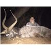 Image 3 : Zimbabwe Hyena, Nyala, and Waterbuck Safari 5D, 1H