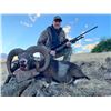 Image 2 : Spain Chamois and Mouflon Hunt 1H, 1NH