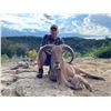 Image 1 : Texas Aoudad or Whitetail Deer Hunt 3D, 4H, 4NH