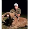 Image 2 : Texas Aoudad or Whitetail Deer Hunt 3D, 4H, 4NH