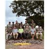 Image 4 : Argentina High-Volume Dove Shoot 3D, 4H