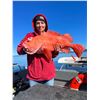 Image 2 : Alaska Halibut, Salmon, and Rock Fish, 1D, 2 Anglers