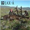 Image 4 : Greenland Caribou Hunt, Including Small Game and Fishing for One