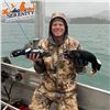 Image 2 : Alaska 5-Day Sitka Blacktail Deer and Sea Duck Combo Hunt for Six Hunters