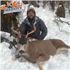 Image 3 : Alaska 5-Day Sitka Blacktail Deer and Sea Duck Combo Hunt for Six Hunters