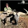 Image 2 : Cape Buffalo and Blue Wildebeest Hunt for 2 Hunters and 2 Observers- South Africa