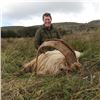 Image 5 : Ireland Hunt Package including Big Game and Fox Hunting