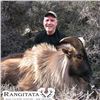 Image 3 : Himalayan Tahr Hunt for 1 Hunter and 1 Observer in New Zealand