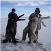 Image 5 : Alaska 7-Day Winter Predator Hunt for One Hunter