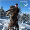 Image 2 : Arizona 5-Day Mountain Lion Hunt for One Hunter