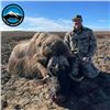 Image 2 : Five Day Musk Ox Hunt in the Northwest Territories