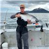 Image 4 : Alaska 6-Night/3-Day Fishing Charter Trip for Four Anglers